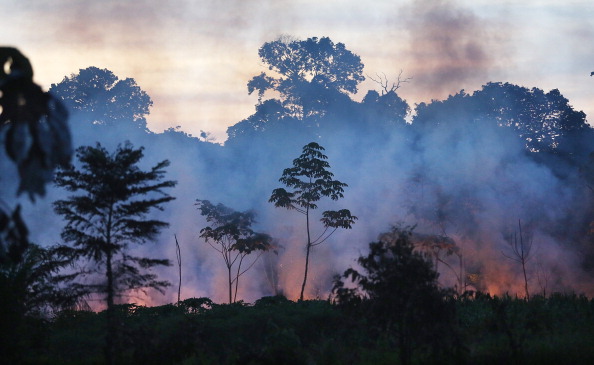 Peruvian Gold Mining Rush Brings Social And Environmental Stresses To Amazon