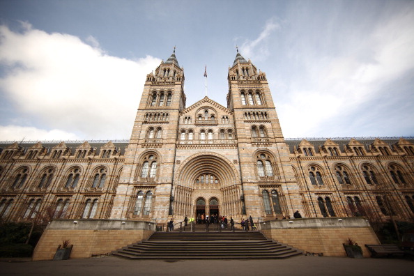 London 2012 - Famous Landmarks Of Iconic London