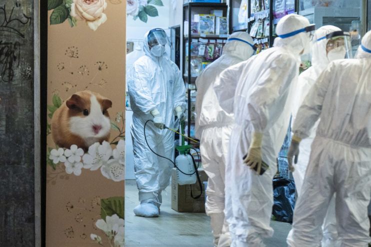 Hong Kong Goes on Hamster Crackdown After Shock Delta Flare