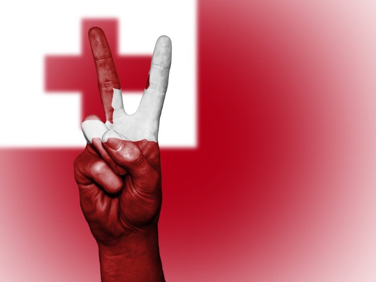 Tonga is gearing up to make Bitcoin legal tender, according to one of the Polynesian country&rsquo;s former MPs.