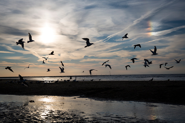 Summer Hots Up At The Great British Seaside