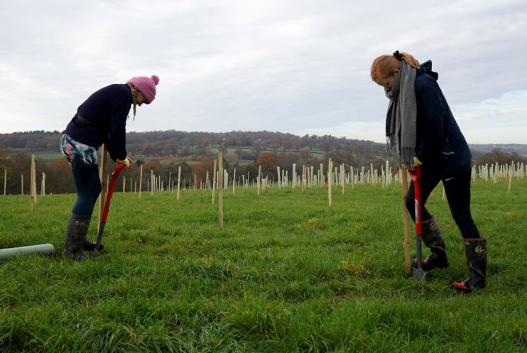 Trees For Rivers With Thames 21
