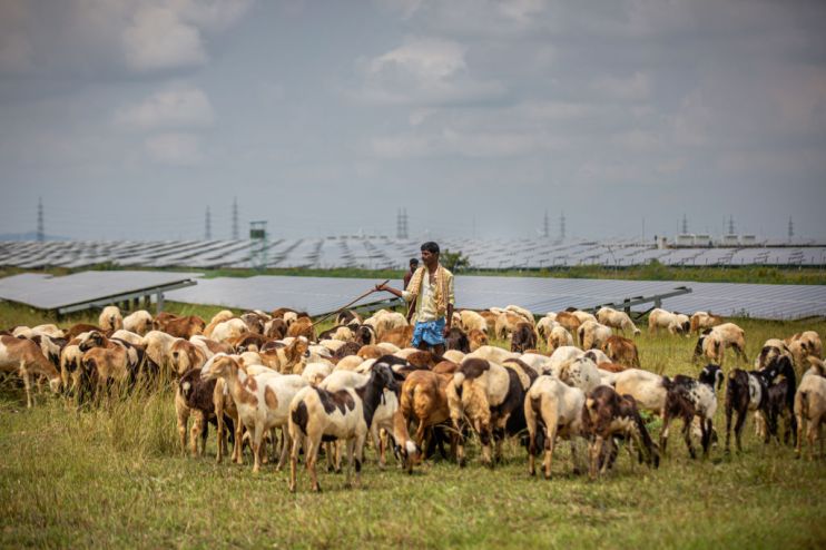 Pavagada Solar Farm Propels India Towards Climate Goals