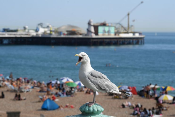South of England Basks In Summer Heatwave