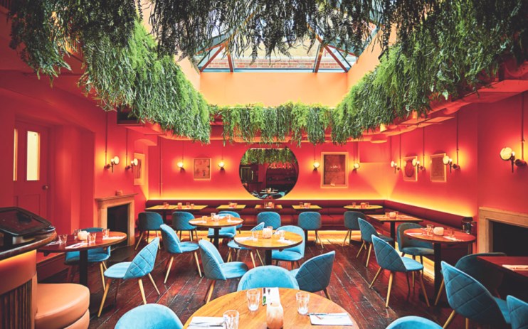 Foliage like that at restaurant Henrietta Street is a huge trend for 2022