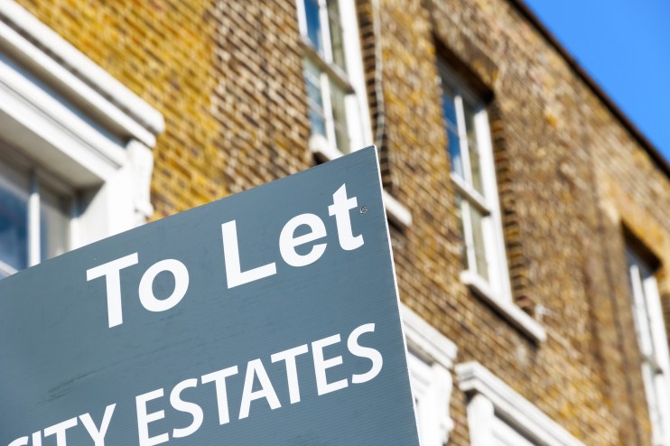 To Let property agency sign