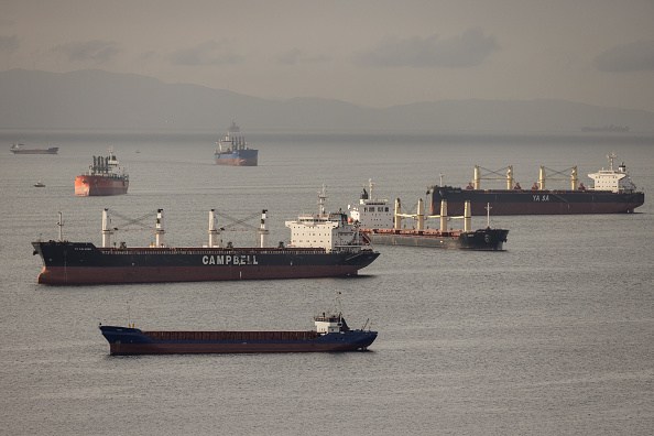 Grain Ships Await Inspections Off Istanbul Coast