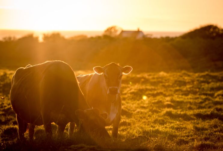Jersey Seen As One Of The UK's Island Tax Havens
