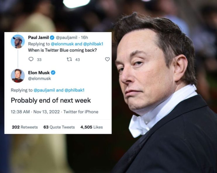 Twitter&rsquo;s $8 (&pound;6.99) blue tick feature will &ldquo;probably&rdquo; come back at the end of next week, according to chief executive Elon Musk.