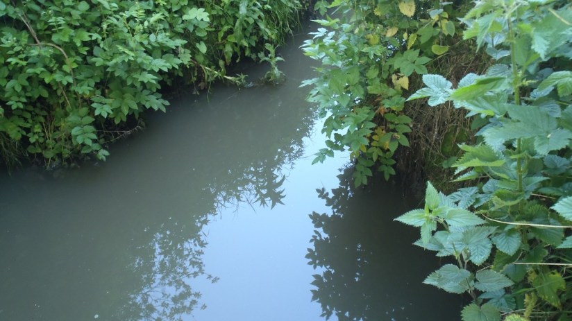He said there is &ldquo;no need to have undue concerns at the moment&rdquo; and that there is &ldquo;no threat to water supply&rdquo;.