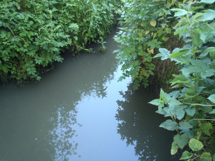 He said there is &ldquo;no need to have undue concerns at the moment&rdquo; and that there is &ldquo;no threat to water supply&rdquo;.