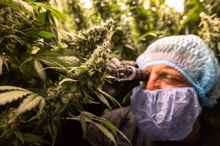The last cannabis ETF in Europe shut down late last year.