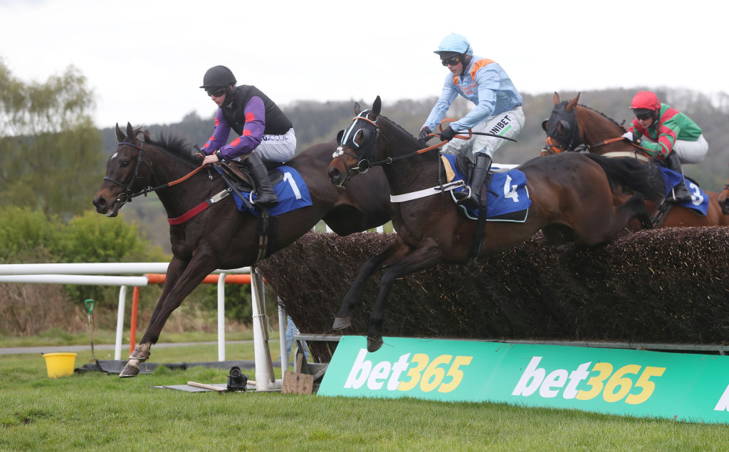 Jump horse racing