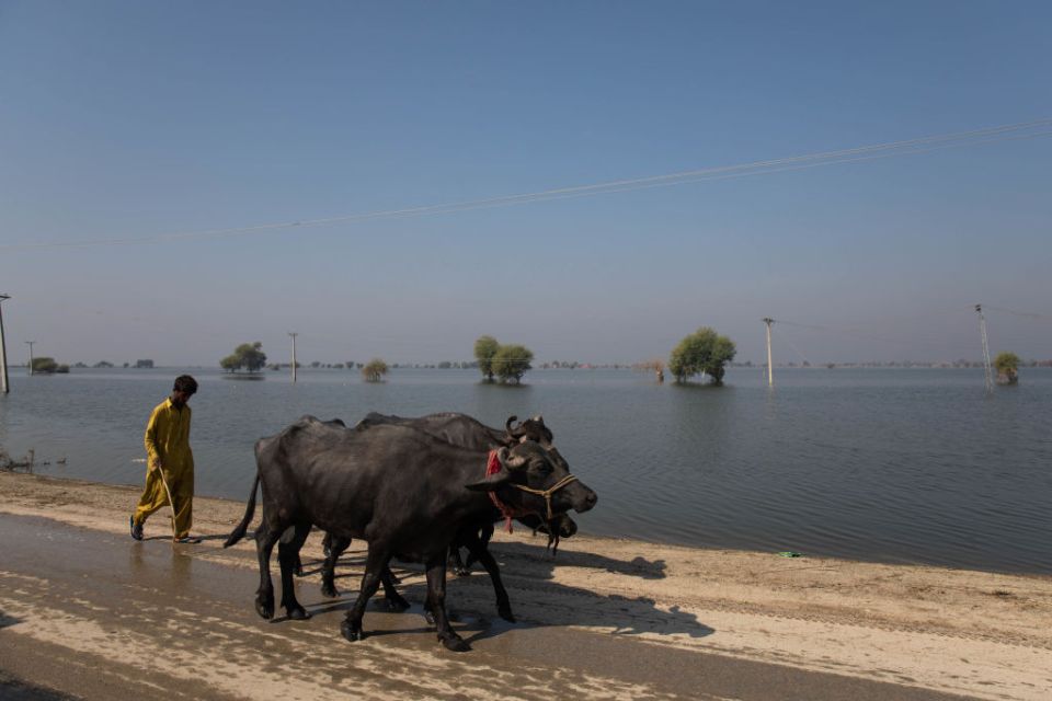 Historic Flooding Leaves Pakistan Devastated