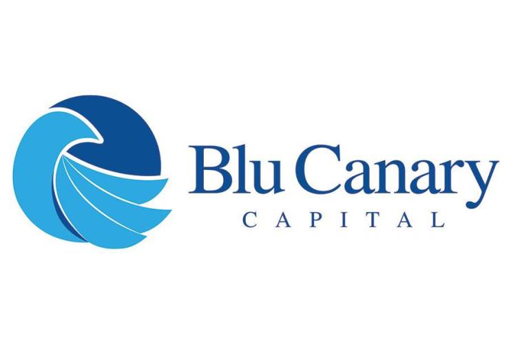 Crypto AM turns its spotlight on Blu Canary Capital as it brings together the worlds of security tokens, gaming, sports and entertainment in the metaverse.
