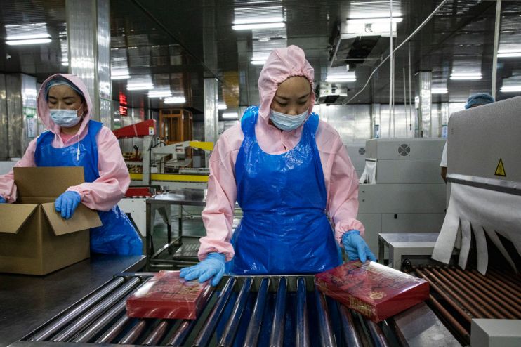 The Largest Crayfish Processing Plant In Hubei