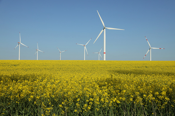 Government Seeks Rapid Expansion Of Renewable Energy Production