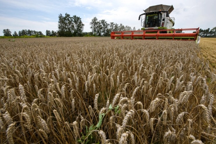 The grain harvester collects wheat on the field near the village of Zgurivka in the Kyiv region, while Russia continues the war against Ukraine. August 9, 2022 (Photo by Maxym Marusenko/NurPhoto via Getty Images)