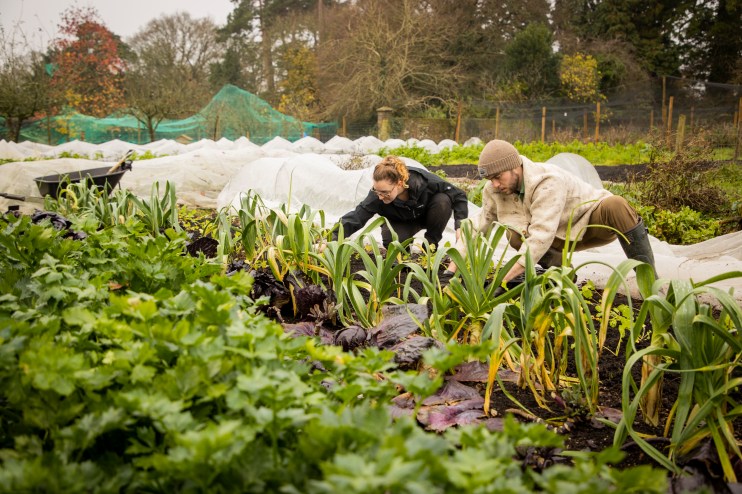 Sodexo has told its suppliers they must&nbsp;demonstrate tangible progress towards net zero by 2030 if they want to keep their contract.