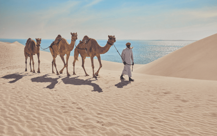 Qatar has an inland sea surrounded by sand dunes, the only type of its kind in the world