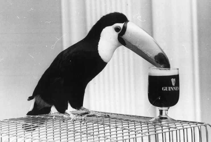 Shares at Guinness maker Diageo are now trading at their lowest level since November 2020, in the face of weakening sales and trouble with Chinese trade.&nbsp;