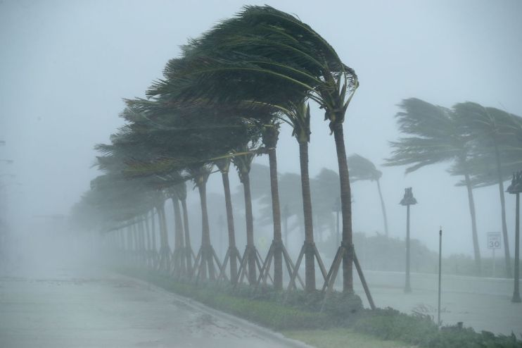 catastrophe bonds hurricanes