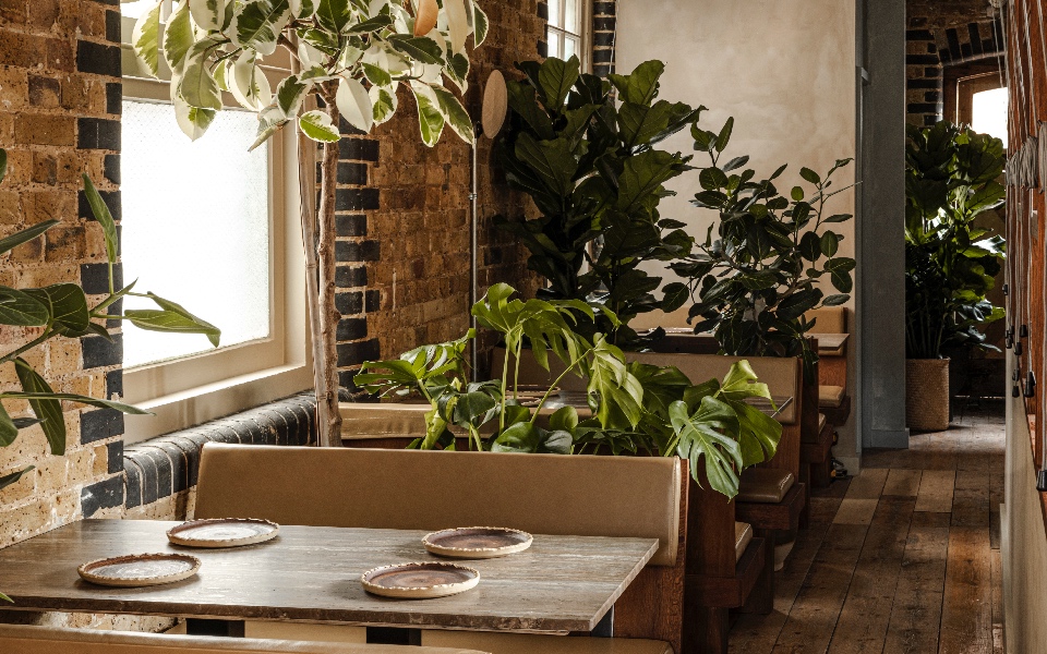 Kolae is one of the top restaurant openings