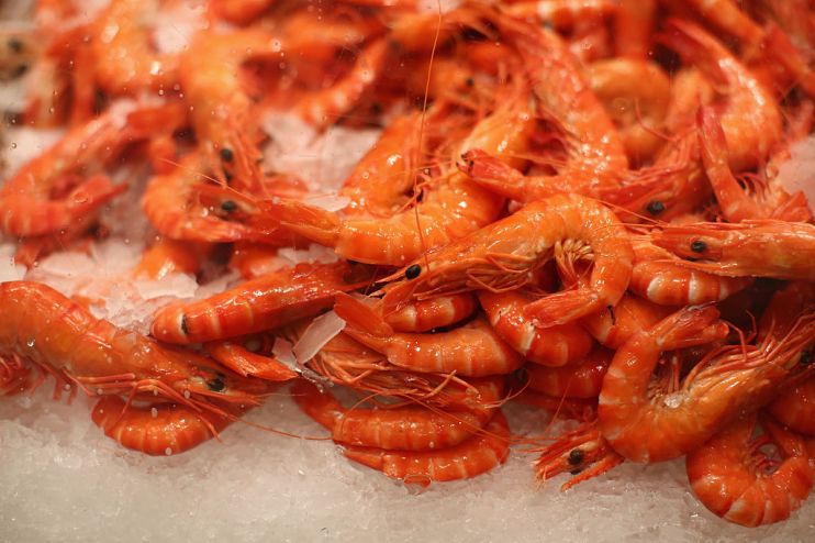 prawn cocktail offensive keir starmer rachel reeves labour party