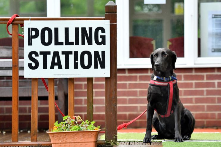 by-elections polling