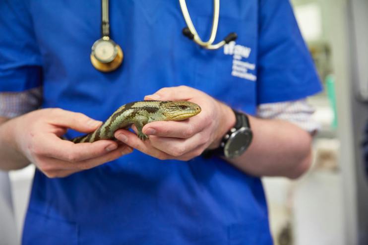 The competition watchdog is launching an investigation into the UK&rsquo;s veterinary industry, amid concerns pet owners are not getting value for money.&nbsp;
