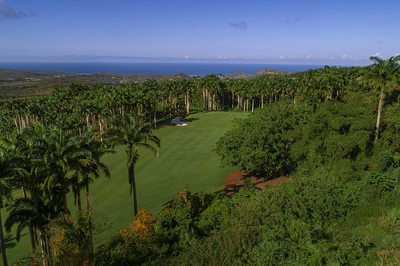 Apes Hill, Barbados