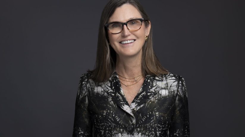 "We don&rsquo;t think Tesla is a high risk stock, we think the riskier stocks are the traditional auto stocks," Cathie Wood said.