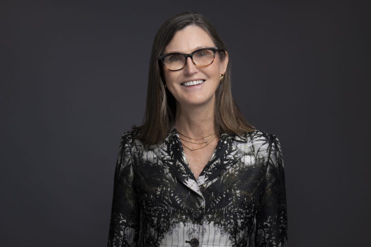 "We don&rsquo;t think Tesla is a high risk stock, we think the riskier stocks are the traditional auto stocks," Cathie Wood said.