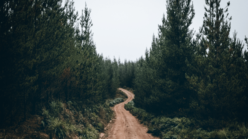 Rory Sandilands, manager of the Aegon Global Short Dated Climate Transition fund, is pushing to make companies more sustainable by buying their bonds.