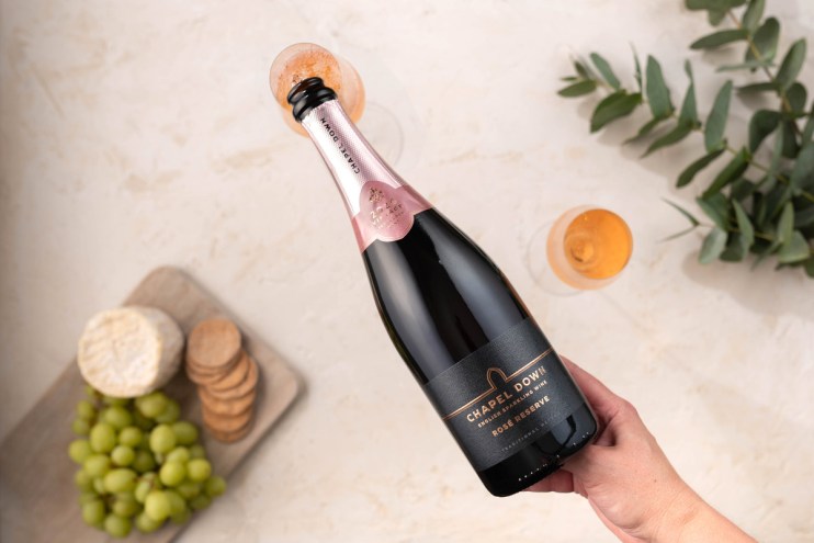Britain&rsquo;s biggest winemaker Chapel Down has reported record company sales for the year ended 31 December following a strong harvest.&nbsp;
