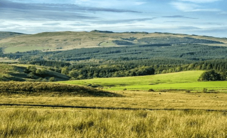 Helen Avery, GFI director of nature programmes, said: &ldquo;The erosion of natural capital generates significant and long-term risks to society, our economy and, therefore to financial institutions and potentially our financial resilience."