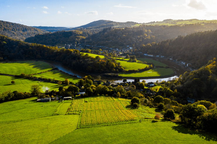 Wales' wine scene is exploding. Adam Bloodworth went to meet the makers