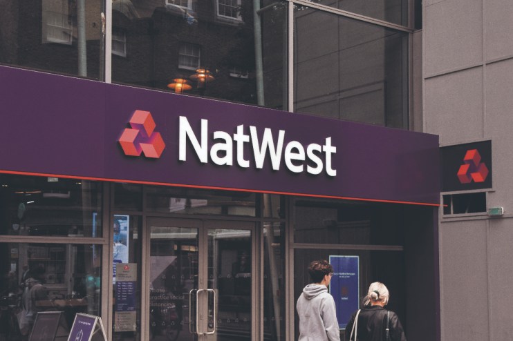 Other proposals for the Natwest sale include a minimum investment of &pound;250, as well as a possible ceiling of &pound;10,000.