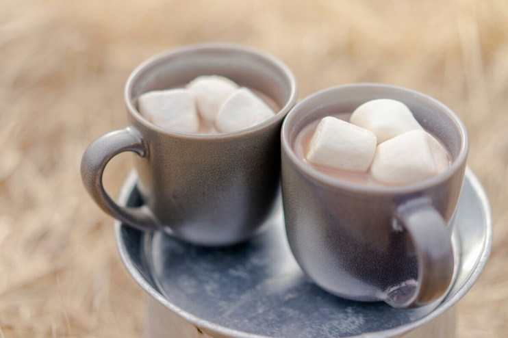 After losing twice in the long-running &lsquo;mega marshmallows' tax case, HMRC has said it is looking to file yet another appeal.