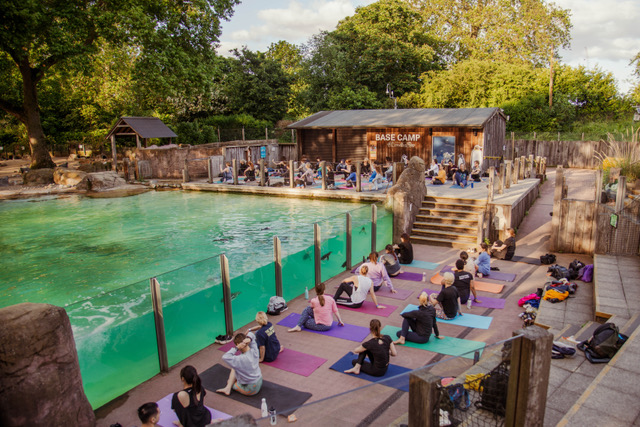 East of Eden, one of the City&rsquo;s top yoga and Pilates studios, is hosting Yoga at Penguin Beach this summer
