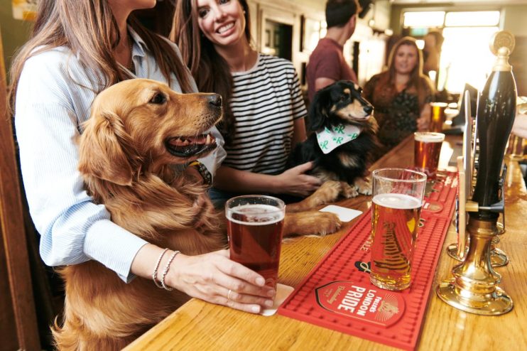 You can now get paid to go to the pub