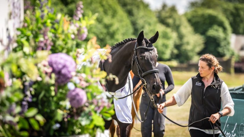The&nbsp;Goffs&nbsp;London Sale has in recent years become the most exclusive curtain raiser in town as well as one of the most prestigious sales of thoroughbreds in the world