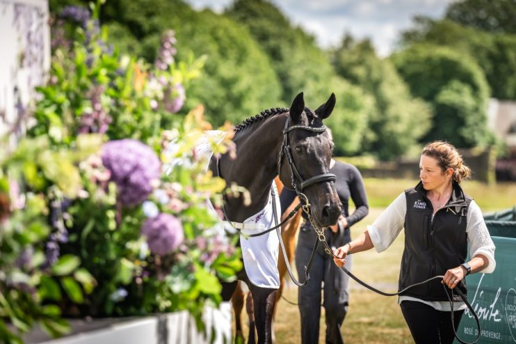 The&nbsp;Goffs&nbsp;London Sale has in recent years become the most exclusive curtain raiser in town as well as one of the most prestigious sales of thoroughbreds in the world