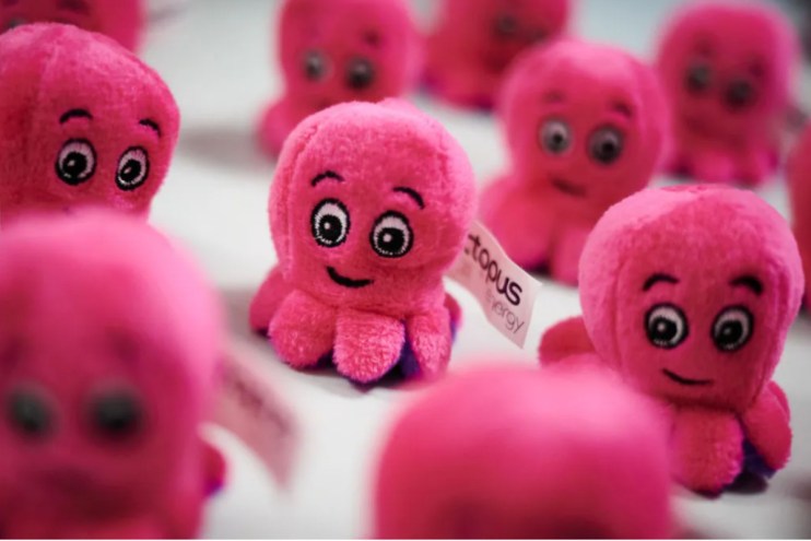 Octopus to pay government &pound;3bn windfall