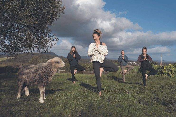 Meditate with sheep at this Scottish wellness retreat