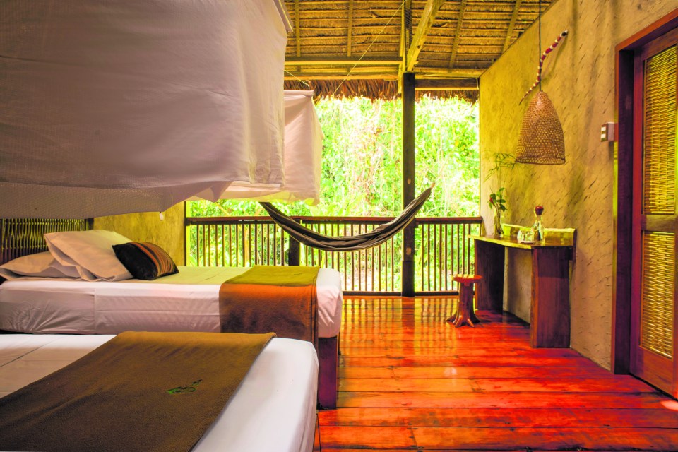 An amazing eco-lodge in the jungle in Peru