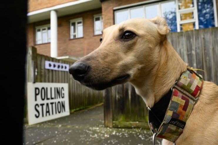 Morning Wire's guide to what you can and can't do in a polling station during the UK General Election. (Photo by Leon Neal/Getty Images)