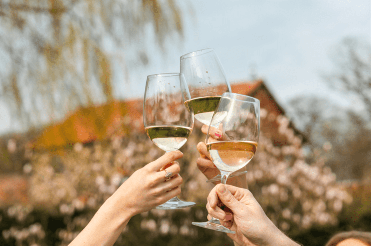 Virgin Wines has returned to profit after a tough period of trading