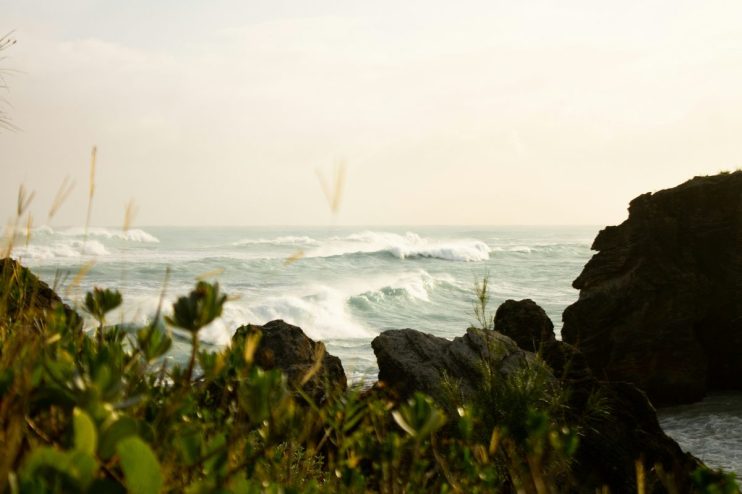 Ocean Wilsons' revenue jumped while profit took a hit
