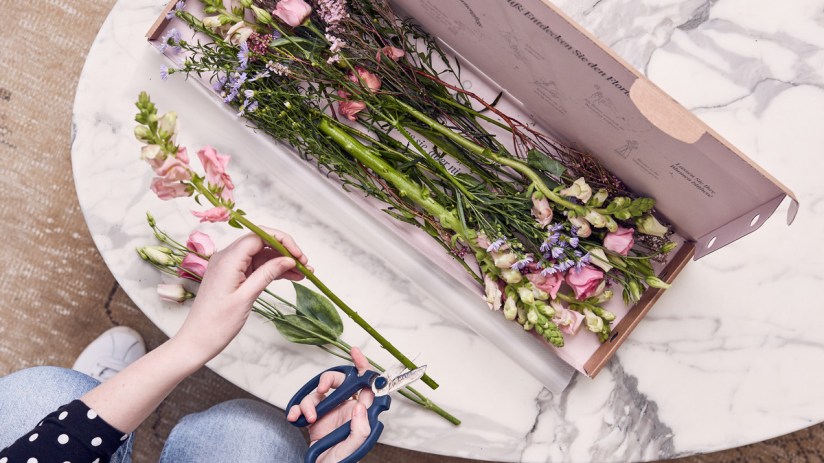 Bloom & Wild has hired its first-ever chief financial officer. Credit - Bloom & Wild.